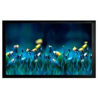 Проекционные экраны CACTUS FrameExpert 113x200 CS-PSFRE-200X113 [CS-PSFRE-200X113]