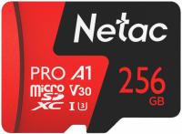 Карты памяти Netac P500 Extreme Pro 256GB NT02P500PRO-256G-S [NT02P500PRO-256G-S]