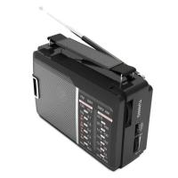 Радиоприемники Ritmix RPR-190