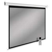 Проекционные экраны CACTUS SIlverMotoExpert 138x220 CS-PSSME-220X138-WT [CS-PSSME-220X138-WT]