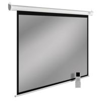 Проекционные экраны CACTUS SIlverMotoExpert 150x200 CS-PSSME-200X150-WT [CS-PSSME-200X150-WT]