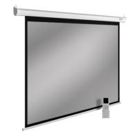 Проекционные экраны CACTUS SIlverMotoExpert 150x240 CS-PSSME-240X150-DG [CS-PSSME-240X150-DG]