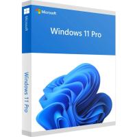 Программное обеспечение Microsoft Windows 11 Pro 64-bit OEI DVD FQC-10547 (1 ПК, бессрочная лицензия, для корпоративного использования) [FQC-10547]