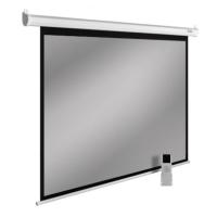 Проекционные экраны CACTUS SIlverMotoExpert 138x220 CS-PSSME-220X138-DG [CS-PSSME-220X138-DG]