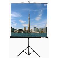 Проекционные экраны Lumien Eco View (LEV-100101)