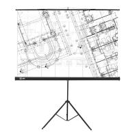 Проекционные экраны CACTUS Triscreen CS-PST-127X127 [CS-PST-127X127]