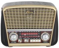 Радиоприемники Ritmix RPR-050 (золотой) [RPR-050 Gold]