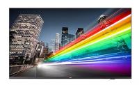 Информационные панели Philips 55BFL2214/12 Информационные панели Philips 55BFL2214/12