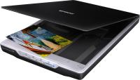 Сканеры Epson Perfection V19