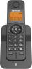 Радиотелефоны DECT Panasonic KX-TGC310UC2