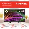 Телевизоры StarWind SW-LED24SG304
