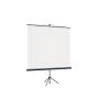 Проекционные экраны Lumien Eco View (LEV-100101)
