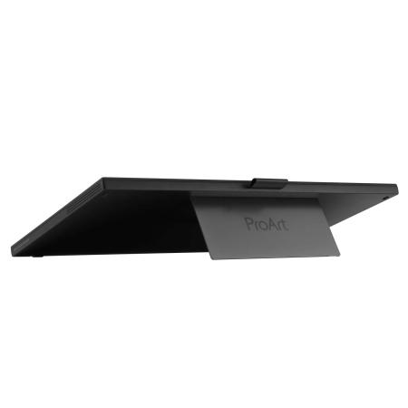 Мониторы ASUS ProArt PA169CDV [90LM0711-B01I70]