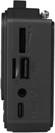 Радиоприемники Ritmix RPR-010 [RPR-010, 4610121108446]