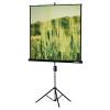 Проекционные экраны Lumien Eco View (LEV-100101)