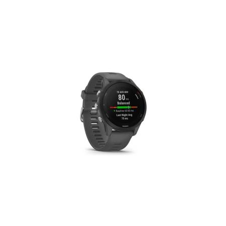 Умные часы и браслеты Garmin Forerunner 255 (сланцево-серый/черный) [010-02641-10]