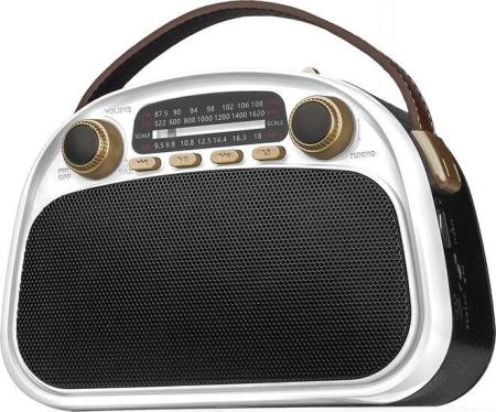 Радиоприемники Ritmix RPR-040 (белый)