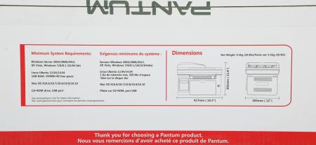 Принтеры и МФУ Pantum M6607NW