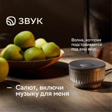 Беспроводные и портативные колонки Sber SberBoom Mini 2 (титановый синий) [SBDV-00250B]