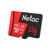 Карты памяти Netac 256GB 500 Extreme Pro NT02P500PRO-256G-R (с адаптером) [NT02P500PRO-256G-R]