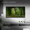 Телевизоры Digma DM-LED43SBB36 [DM-LED43SBB36, 2017781]