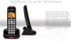 Радиотелефоны DECT Panasonic KX-TGC310UC2