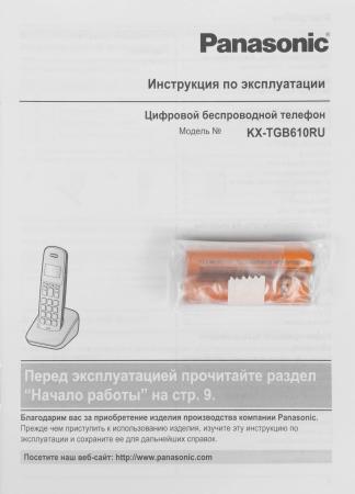 Радиотелефоны DECT Panasonic KX-TGB610RUR
