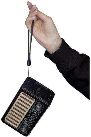 Радиоприемники Ritmix RPR-020