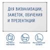 Офисные доски, флипчарты Staff Eco 238138 [238138]