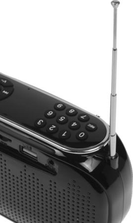 Радиоприемники Ritmix RPR-008