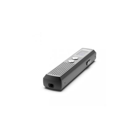 Диктофоны Ritmix RR-120 8GB (черный) [RR-120 8Gb Black]