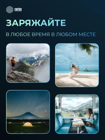 Портативные зарядные устройства CACTUS CS-PBFSFA-20000 20000mAh (серый) [CS-PBFSFA-20000, 4670089336237]