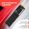 SSD PC Pet 512GB PCPS512G1 [PCPS512G1]