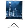 Проекционные экраны Lumien Master View 244x244 (LMV-100105)