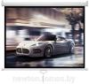 Проекционные экраны Future Vision Business 300 300x218 W300WMW [W300WMW]