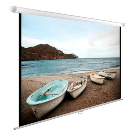 Проекционные экраны CACTUS WallExpert 220x138 CS-PSWE-220x138-WT [CS-PSWE-220x138-WT]