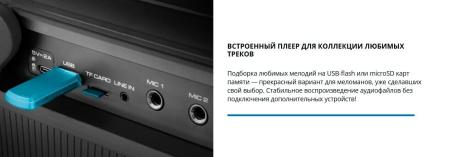 Беспроводные и портативные колонки SVEN PS-860 [PS-860, SV-022518]