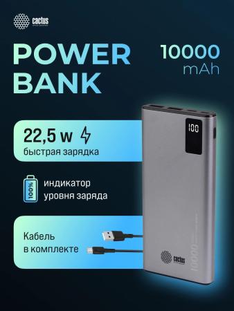 Портативные зарядные устройства CACTUS CS-PBFSLT-10000 (серый) [CS-PBFSLT-10000]