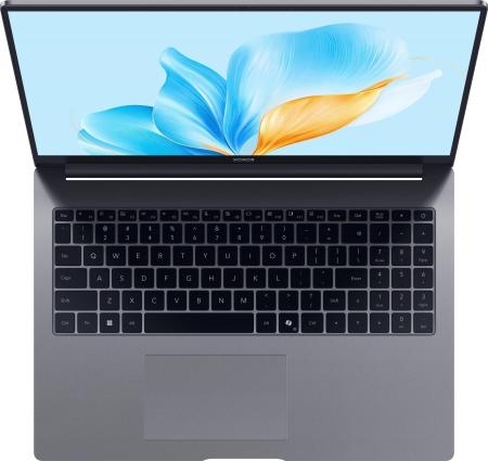 Ноутбуки HONOR MagicBook X16 2025 BRG-565 5301ALWS [5301ALWS]