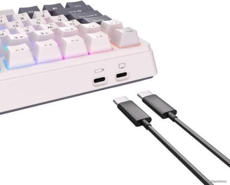 Клавиатуры Royal Kludge RK-H81 RGB White Night (RK Cyan) [6935280824104]