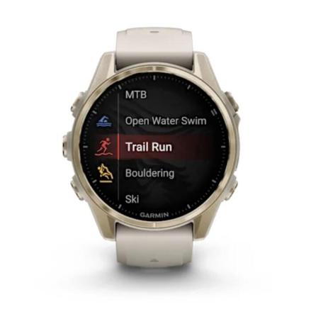 Умные часы и браслеты Garmin Fenix 8 Sapphire 43мм (золотистый, дымчато-серый ремешок) [010-02903-11]