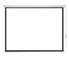 Проекционные экраны CACTUS SIlverMotoExpert 175x280 CS-PSSME-280X175-WT [CS-PSSME-280X175-WT]