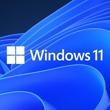 Программное обеспечение Microsoft Windows 11 Pro 64-bit OEI DVD FQC-10547 (1 ПК, бессрочная лицензия, для корпоративного использования) [FQC-10547]