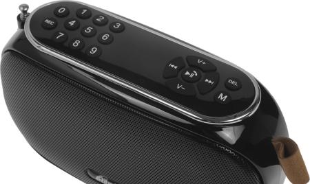 Радиоприемники Ritmix RPR-008
