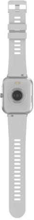 Умные часы и браслеты Maxvi SW-02 (серый)