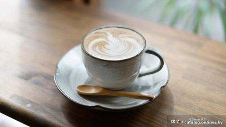 Объективы Sony FE 50mm F1.8 [SEL50F18F] [SEL50F18F.SYX]