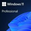 Программное обеспечение Microsoft Windows 11 Pro 64-bit OEI DVD FQC-10547 (1 ПК, бессрочная лицензия, для корпоративного использования) [FQC-10547]