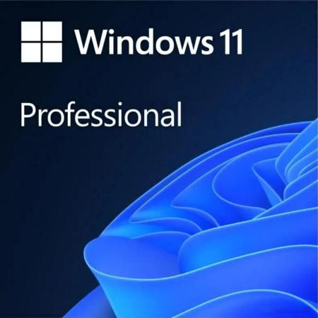 Программное обеспечение Microsoft Windows 11 Pro 64-bit OEI DVD FQC-10547 (1 ПК, бессрочная лицензия, для корпоративного использования) [FQC-10547]