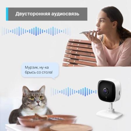 IP-камеры TP-Link Tapo C110
