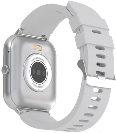 Умные часы и браслеты Maxvi SW-02 (серый)